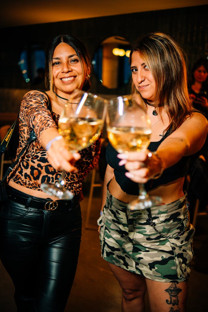Two women enjoying a night out at a bar in Buenos Aires, toasting with wine glasses.
